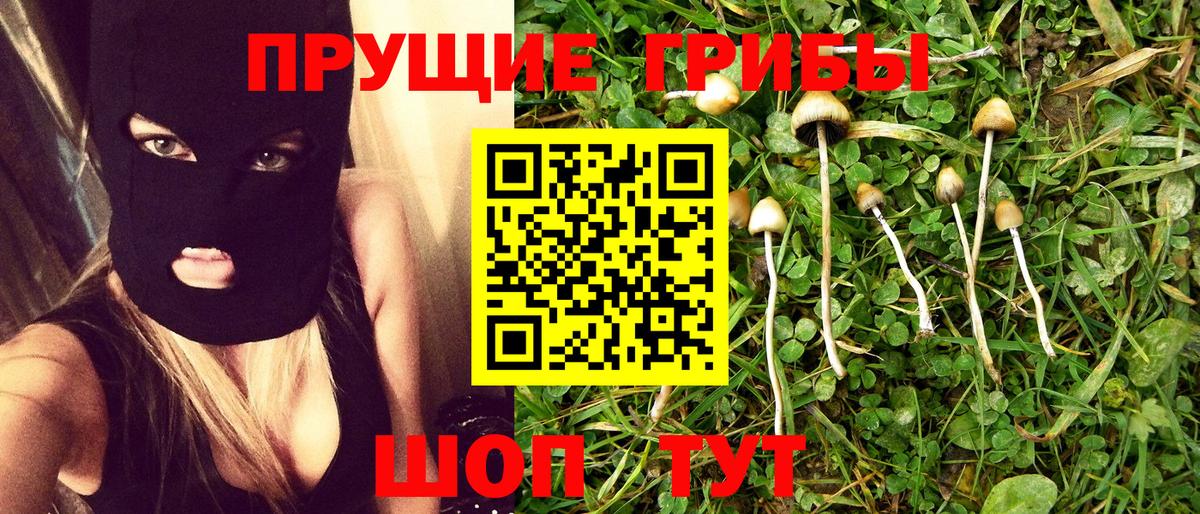 Псилоцибиновые грибы ЛСД Ульяновск