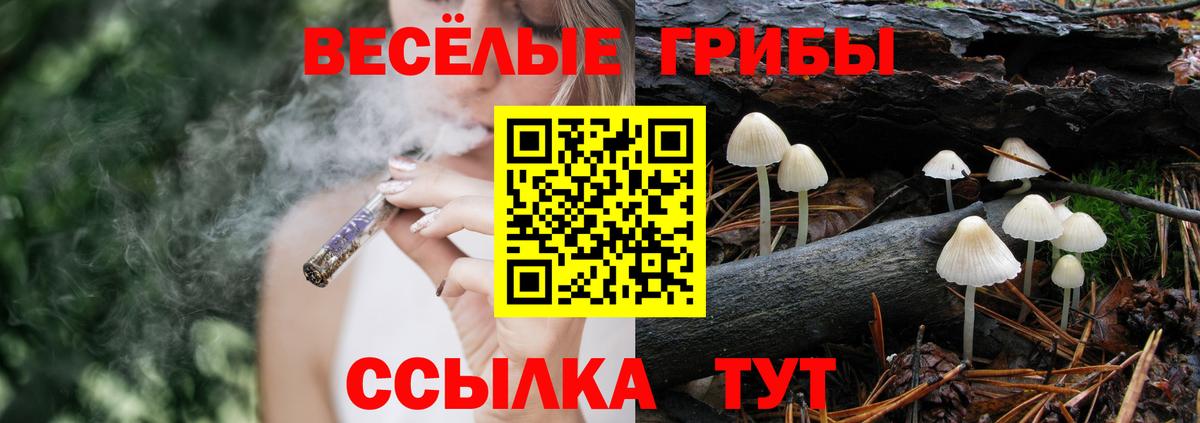Псилоцибиновые грибы мицелий  сколько стоит  Ульяновск  Вход с VPN  Псилоцибиновые грибы GOLDEN TEACHER 
